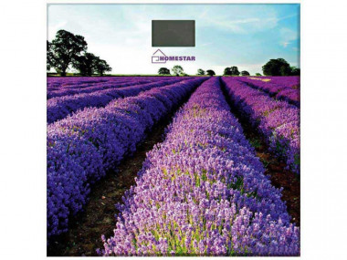 Весы напольные электронные HOMESTAR HS-6001G  (стеклянная поверхность, 180 кг) &mdash; Posudio