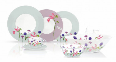 Столовый сервиз 30 предметов Luminarc Rozana Begonia N3671 — Posudio
