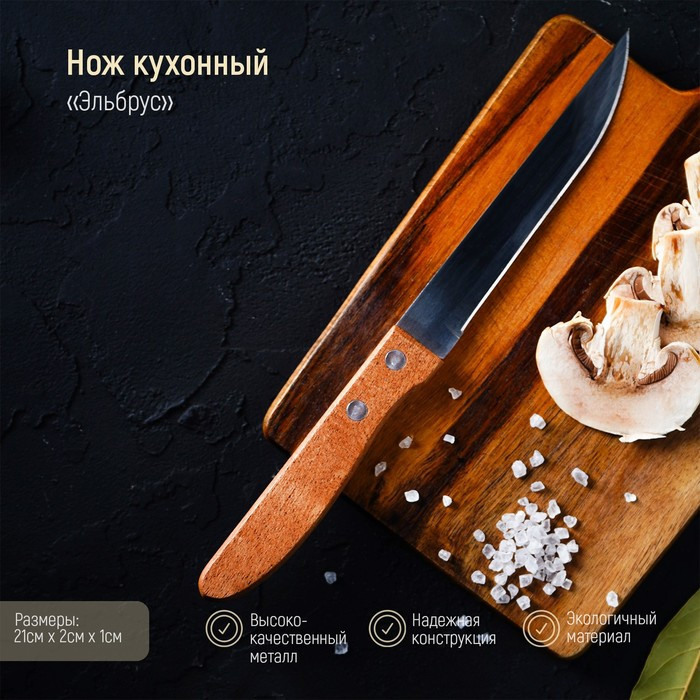 Нож кухонный «Эльбрус», гладкое лезвие 11,5 см фото 1 — Posudio