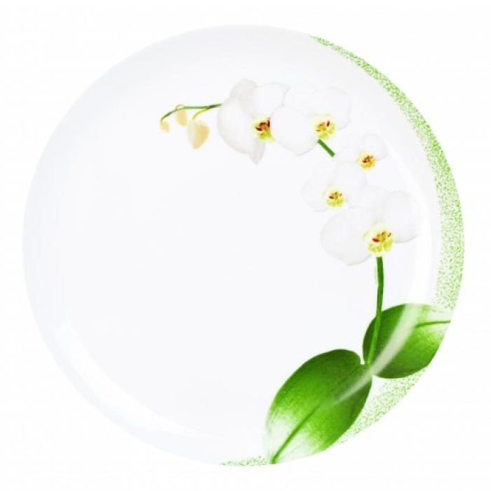 Десертная тарелка 21см Luminarc White Orchid P6436 фото 1 — Posudio