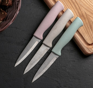 Нож для чистки овощей Доляна «Ринго», лезвие 9 см, цвет МИКС — Posudio