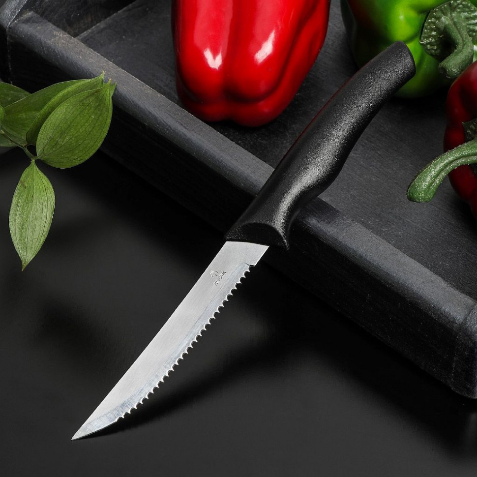 Нож Доляна «Грайм» для мяса, зубчатое лезвие 11,5 см, цвет чёрный фото 1 — Posudio