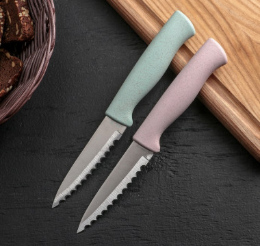 Нож для чистки рыбы Доляна «Ринго», зубчатое лезвие 9 см, цвет МИКС — Posudio