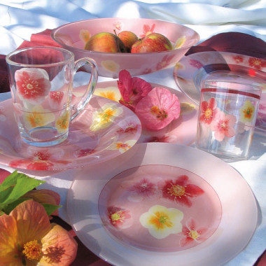 Столовый сервиз 66пр. 6перс Luminarc Poeme Rose J6522 &mdash; Posudio