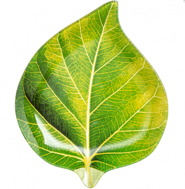 БЛЮДО СЕРВИРОВОЧНОЕ 20*16*2 СМ МАЛ.198-355 &mdash; Posudio