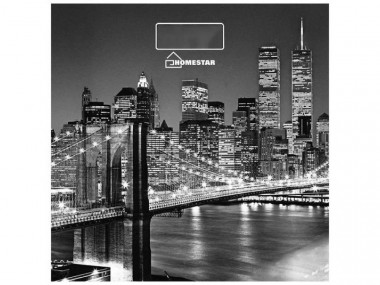 Весы напольные электронные HOMESTAR HS-6001E  (стеклянная поверхность, 180 кг) &mdash; Posudio