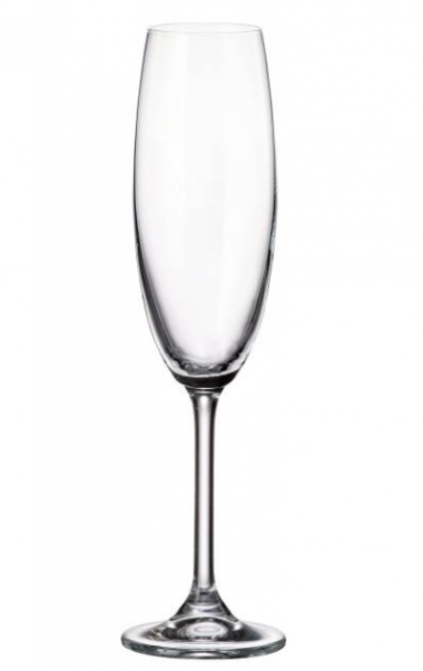 Гастро Бокал для шампанского 220мл.(6*) &mdash; Posudio