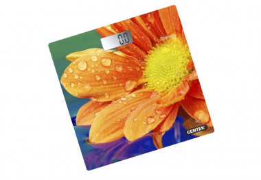 Весы напольн.. Centek CT-2420 (ГЕРБЕРА) — Posudio