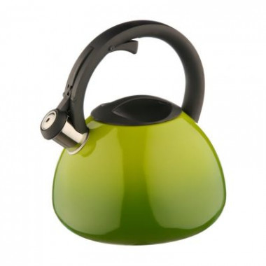 Чайник 2,8л со св индукц. двухцветный  оливковый (Катунь) — Posudio