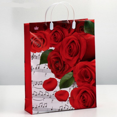 Пакет "Пиано", мягкий пластик, 140 мкм , 40 х 30 см &mdash; Posudio