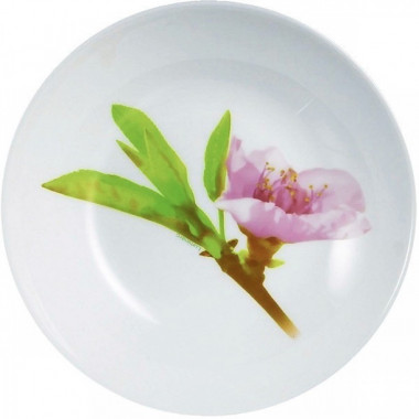 Суповая тарелка 20см Luminarc Water Color J0765 &mdash; Posudio